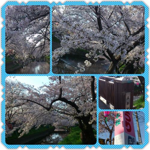 ファイル名: PhotoFancie2013_04_01_07_58_51.jpeg
ファイルサイズ: 76.5KB PhotoFancie2013_04_01_07_58_51