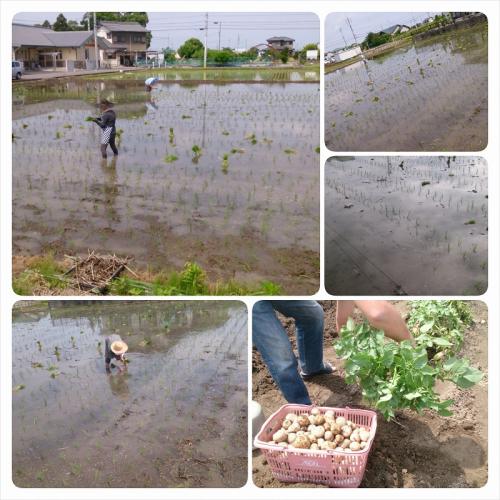 ファイル名: PhotoFancie_2015_06_07_09_47_37.jpg
ファイルサイズ: 49.5KB PhotoFancie_2015_06_07_09_47_37